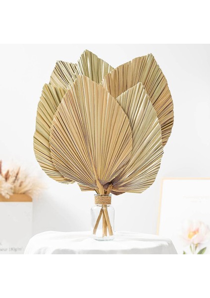 6 Adet Doğal Tropikal Kurutulmuş Palmiye Yaprakları Dekorasyon, Boho Düğünler Için Kesilmiş Palmiye Yaprakları Duvar Yatak Odası Dekorasyon,декоративные Подарки (Yurt Dışından) fiyatları