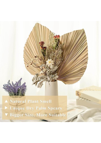 6 Adet Doğal Tropikal Kurutulmuş Palmiye Yaprakları Dekorasyon, Boho Düğünler Için Kesilmiş Palmiye Yaprakları Duvar Yatak Odası Dekorasyon,декоративные Подарки (Yurt Dışından) modelleri
