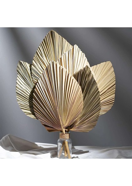 6 Adet Doğal Tropikal Kurutulmuş Palmiye Yaprakları Dekorasyon, Boho Düğünler Için Kesilmiş Palmiye Yaprakları Duvar Yatak Odası Dekorasyon,декоративные Подарки (Yurt Dışından) fırsatları