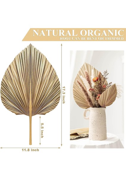 6 Adet Doğal Tropikal Kurutulmuş Palmiye Yaprakları Dekorasyon, Boho Düğünler Için Kesilmiş Palmiye Yaprakları Duvar Yatak Odası Dekorasyon,декоративные Подарки (Yurt Dışından) indirimleri