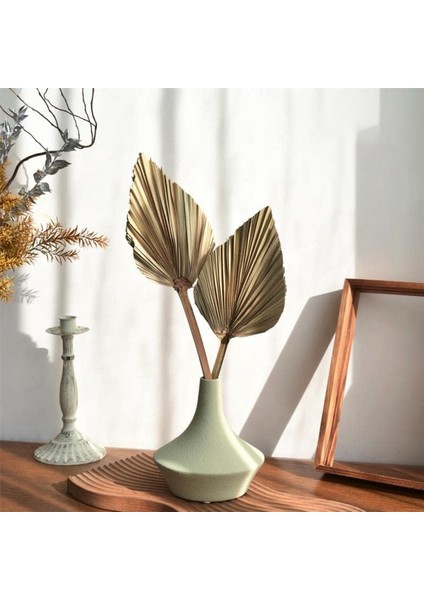 12 Adet Doğal Kurutulmuş Palmiye Yaprakları Dekor Boho Kurutulmuş Yaprak Düğün Dekorasyon Için Yatak Odası Mutfak Ofis 10X40 Cm,декоративные Подарки (Yurt Dışından)