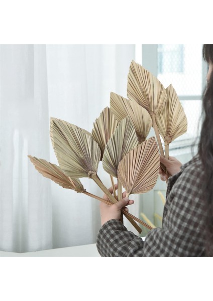 12 Adet Doğal Kurutulmuş Palmiye Yaprakları Dekor Boho Kurutulmuş Yaprak Düğün Dekorasyon Için Yatak Odası Mutfak Ofis 10X40 Cm,декоративные Подарки (Yurt Dışından)