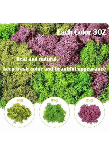 300G Yosun Yeşili Ölümsüz Yapay Dekoratif Yosun Yapay 3 Renkli Karışık Bahçe Kurutulmuş Çiçekler Orman Ispanyol Yosun, C (Yurt Dışından) fiyatları