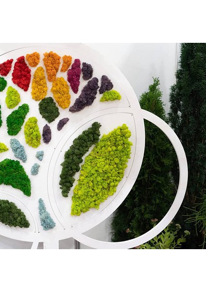 300G Yosun Yeşili Ölümsüz Yapay Dekoratif Yosun Yapay 3 Renkli Karışık Bahçe Kurutulmuş Çiçekler Orman Ispanyol Yosun, C (Yurt Dışından) modelleri