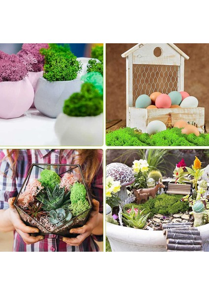 300G Yosun Yeşili Ölümsüz Yapay Dekoratif Yosun Yapay 3 Renkli Karışık Bahçe Kurutulmuş Çiçekler Orman Ispanyol Yosun, C (Yurt Dışından) indirimleri