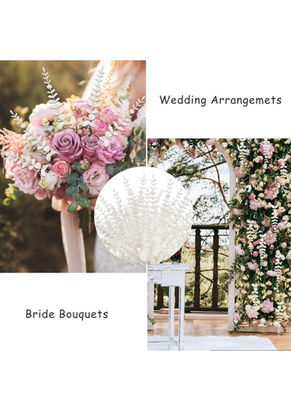 Beyaz Yapay Okaliptüs Kaynaklanıyor, 36 Adet Sahte Okaliptüs Dalları Yapraklar Düzenleme Düğün Buket Dekor (Yurt Dışından) fiyatları