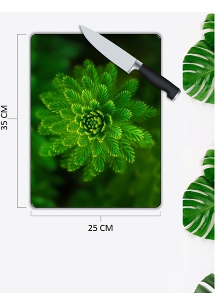 Yeşil Yapraklar | Cam Kesme Tahtası | 25 x 35 cm fiyatları