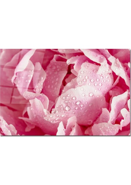 Baskılı Cam Kesme Tahtası |temperli Cam | 25 x 35 cm fiyatları