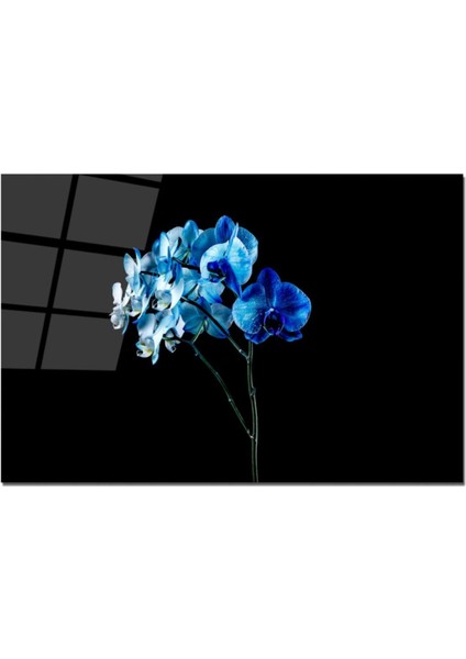 Baskılı Cam Kesme Tahtası |temperli Cam | 25 x 35 cm fiyatları