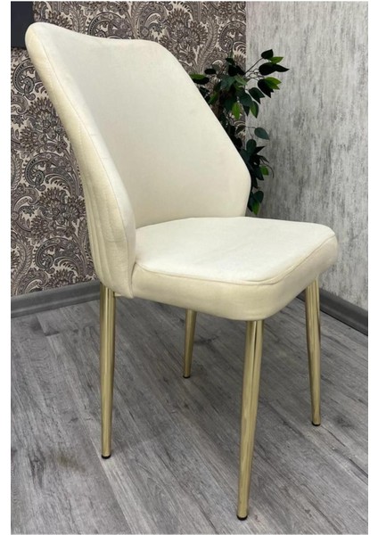 Mutfak Sandalyesi Yemek Odası Sandalyesi Salon Salon Sandalyesi Orma Sandalye