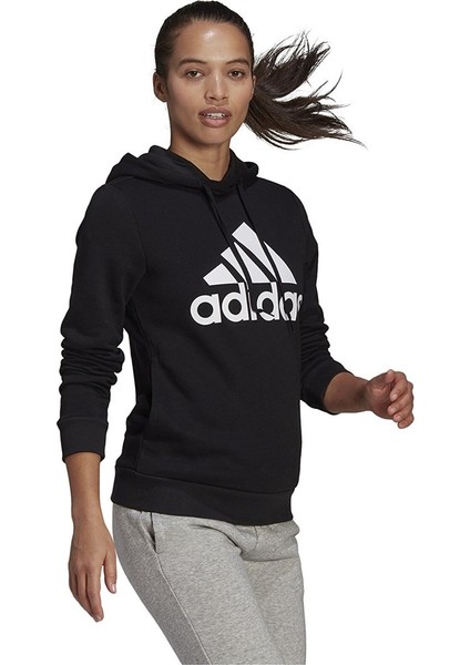 Sportswear GL0653 Essentials Logo Fleece Hoodie fiyatları