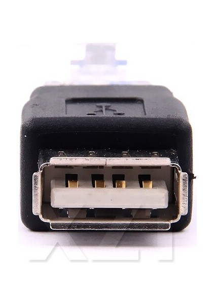 Kristal Kafa RJ45 Erkek USB 2.0 Af A Dişi Adaptör Konnektörü Dizüstü Lan Ağ Kablosu Ethernet Dönüştürücü Adpater (Yurt Dışından)