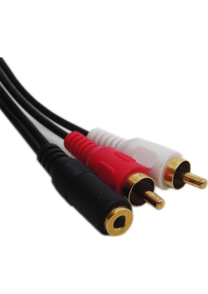 3.5mm 1/8 Stereo Dişi Mini Jak - 2 Erkek Rca Fiş Adaptörü Ses Y Kablosu (Yurt Dışından)