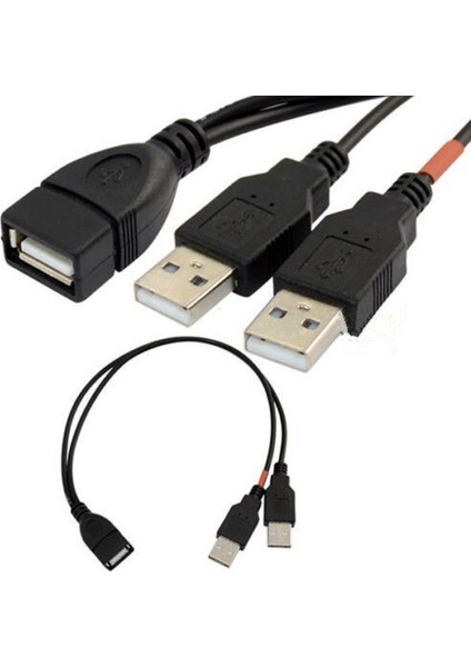 USB 2.0 A Dişi Fiş - 2 Çift USB A Erkek Jakı Y Ayırıcı Hub Adaptör Kablosu (Yurt Dışından)