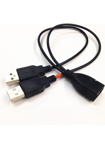 USB 2.0 A Dişi Fiş - 2 Çift USB A Erkek Jakı Y Ayırıcı Hub Adaptör Kablosu (Yurt Dışından)