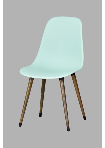 Eames Ahşap Ayak Plastik Sandalye