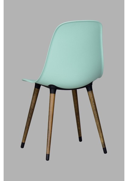 Eames Ahşap Ayak Plastik Sandalye