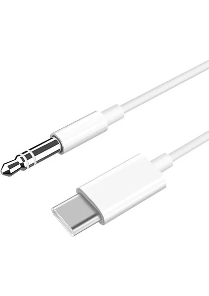 Shoamı SH030 Type-C Aux Dijital Çevirici 1 mt