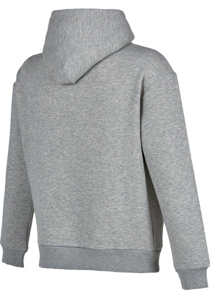 MNH3333 Gri Erkek Sweatshirt fiyatları