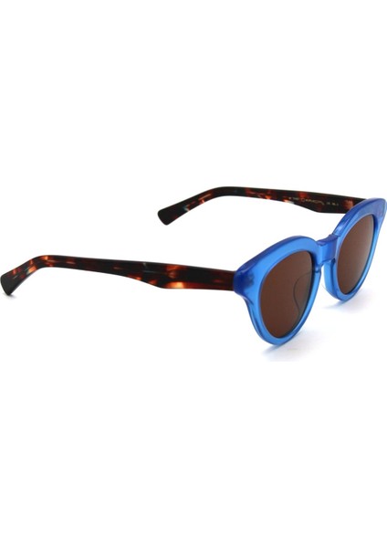 RB 21002 C6 Güneş Bayan Gözlüğü modelleri