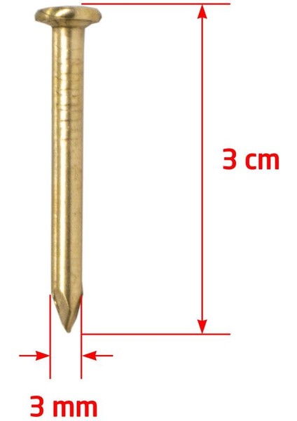 Çelik Beton Çivisi Sarı 3X30 mm (100 Lü Paket) fiyatları