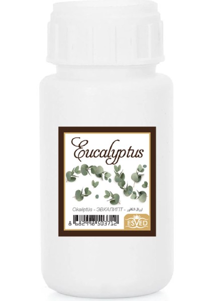 Okaliptus Kokusu Çubuklu Koku Bambu Kokusu Yedek Dolum Şişesi 100 ml