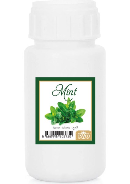 Nane Kokusu Çubuklu Koku Bambu Kokusu Yedek Dolum Şişesi 100 ml