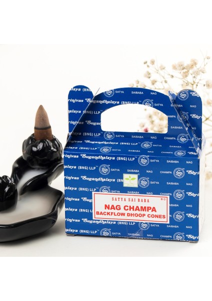 Nag Champa Aromalı Backflow Geri Akış Konik Tütsü