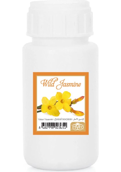 Yaban Yasemini Kokusu Çubuklu Koku Bambu Kokusu Yedek Dolum Şişesi 100 ml