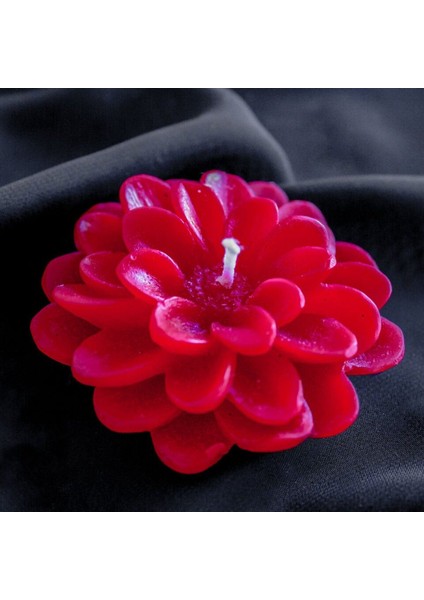 6,6cm Dahlia Çiçek Yıldız Çiçeği Silikon Kalıp K-1290, Kokulu Taş Sabun Alçı Mum Kalıbı