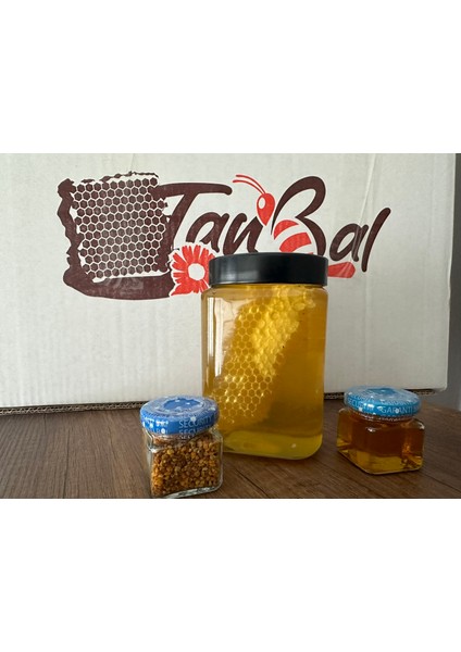 Tanbal Arı Çiftliği Organik Karakovan Süzme Bal Üreticisinden Net 1kg