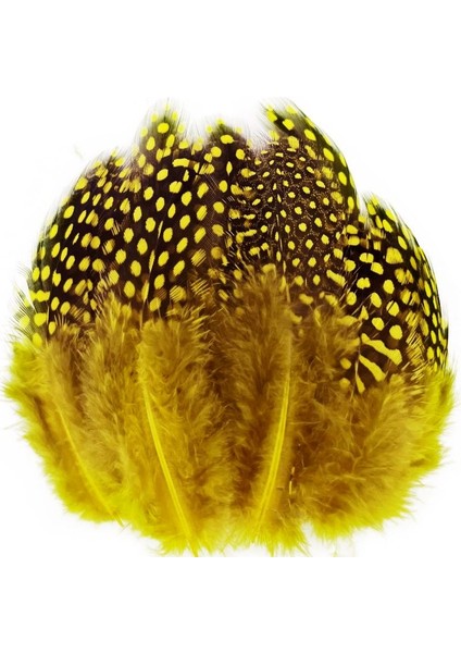 100 Pcs Decor Yellow Bırd Feather 100 Adet Puantiyeli Sarı Siyah Kuş Tüyü Dekor Sarı Kuş Tüyü