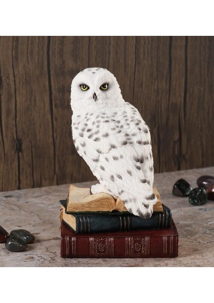 Collection Kitaplar Üstünde Beyaz Baykuş Figürü 18CM
