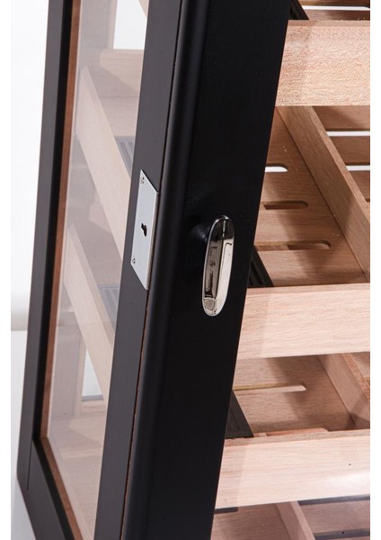 Obera Grande 5 Raflı Sedir Humidor Puro Kutusu