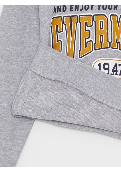 Lcw Kids Kapüşonlu Baskılı Uzun Kollu Erkek Çocuk Sweatshirt fiyatları