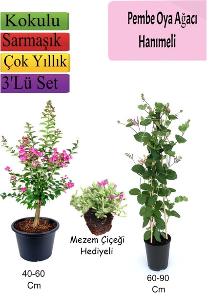 Pembe Oya Ağacı+ Hanımeli Çiçeği+ Mezem Çiçeği Hediyeli