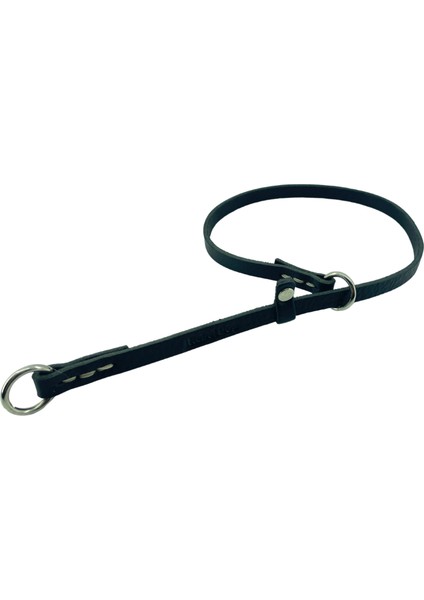 Premium Deri Köpek Eğitim Tasması,köpek Tasması 70CM//1.3CM fiyatları