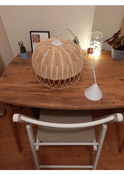 Bambu , Bambu, Hasır Sarkıt Avize 30 cm Altın 1 E27 30 x 20 modelleri