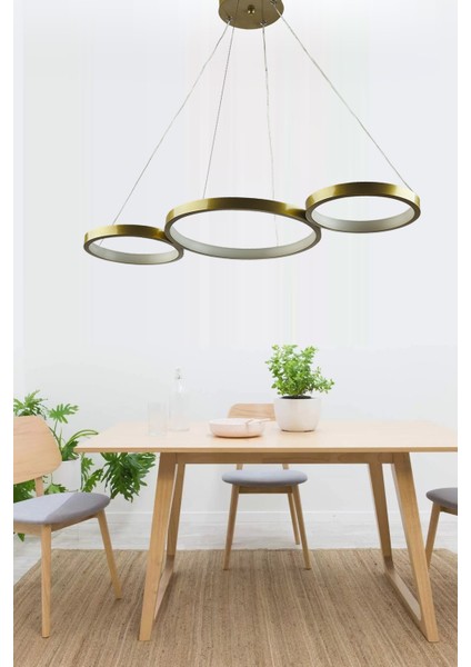 E27 Olympos Modern Tasarım Mat Gold Kasa Beyaz Ledli Üçlü Avize Ledli Alüminyum 3 80 x 110 Altın