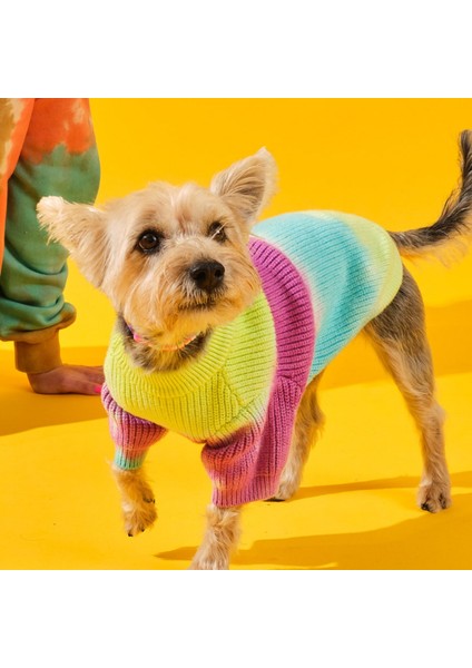 Tie-Dye Köpek Kazağı