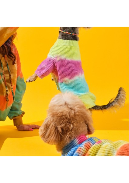 Tie-Dye Köpek Kazağı
