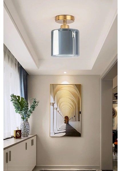 Modern Viktor Modern Füme Çift Camlı Plofonyer Giriş Hol Mutfak Oturma Odası Tekli Avize 20 x 23 E2