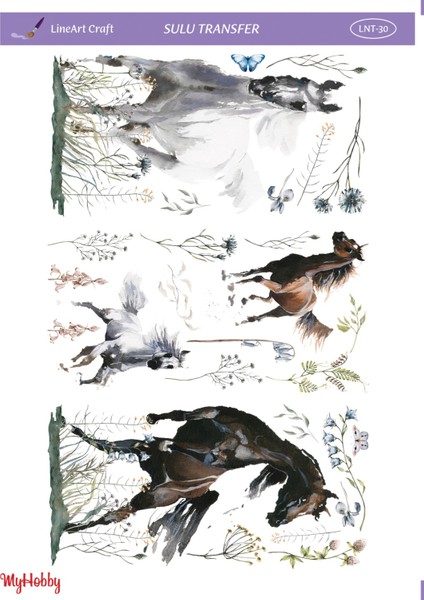 Sulu Transfer LNT30 25X35CM