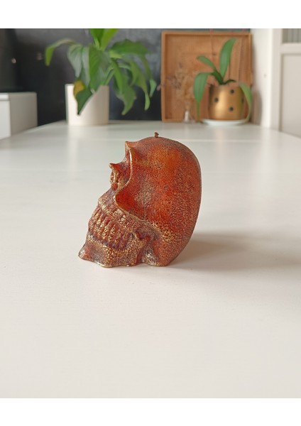 Inci Mum Kurukafa Şekilli Mum Bordo 8 cm fiyatları