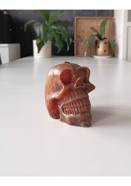 Inci Mum Kurukafa Şekilli Mum Bordo 8 cm fırsatları