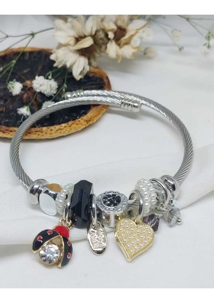 Uğur Böceği Chram Gümüş Renk 316L Çelik Bileklik