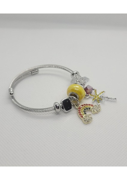 Gökkuşağı Charmlı Çelik Bileklik fırsatları