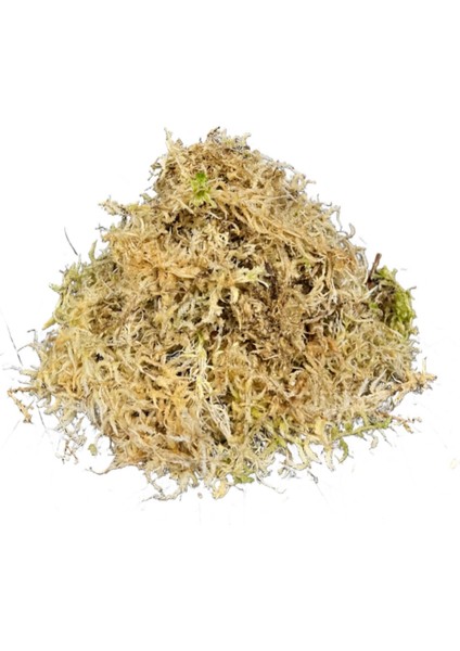 - Sphagnum Yosunu 5 LT fiyatları