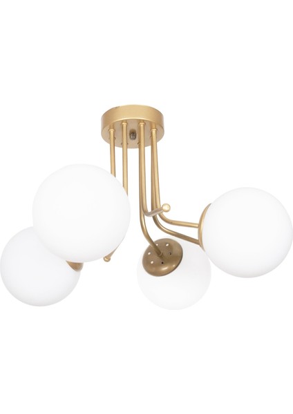 Modern Daisy Lüks Modern Tasarım Plafonyer Gold Renk Beyaz Camlı Salon - Mutfak - Yatak Odası 4 Lü