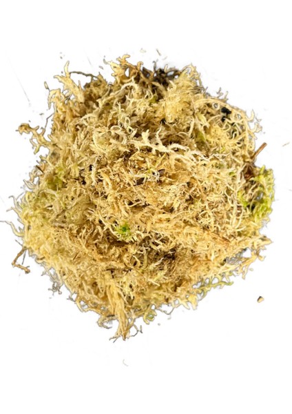 - Sphagnum Yosunu 10 LT
